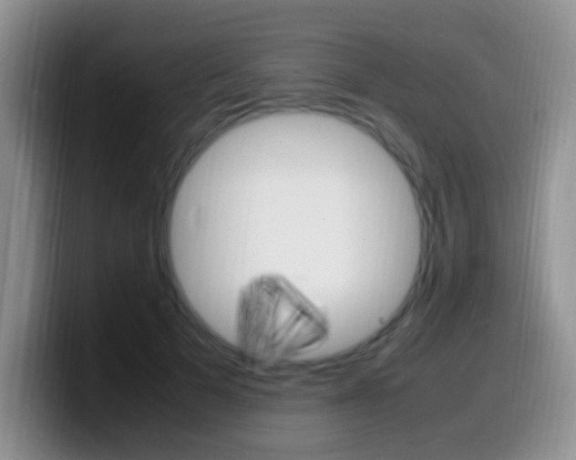 X0000099980697200805231023