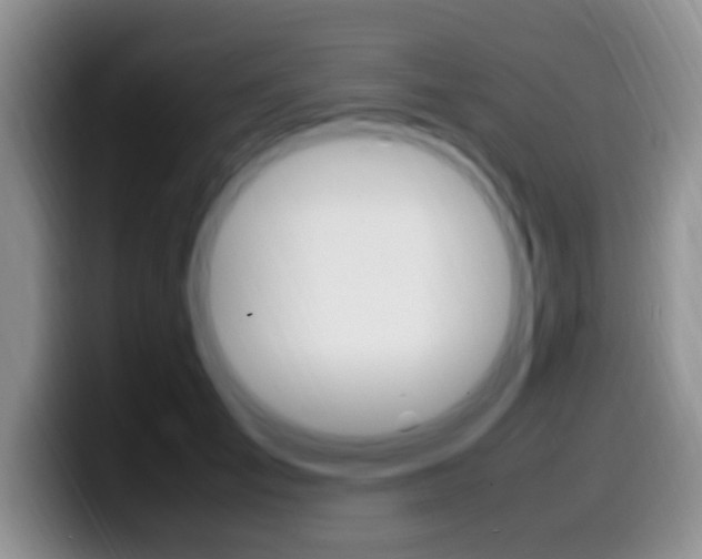 X0000099980701200805231023