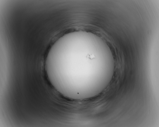 X0000099980702200805231023