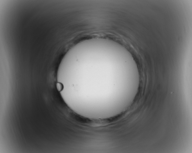 X0000099980707200805231023