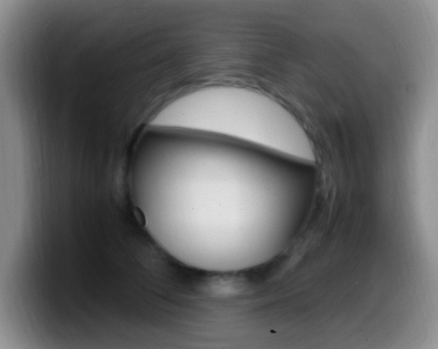 X0000099980708200805231023