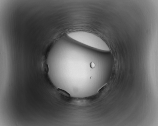 X0000099980712200805231023