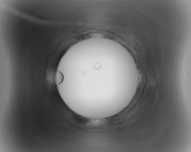 X0000099980713200805231023