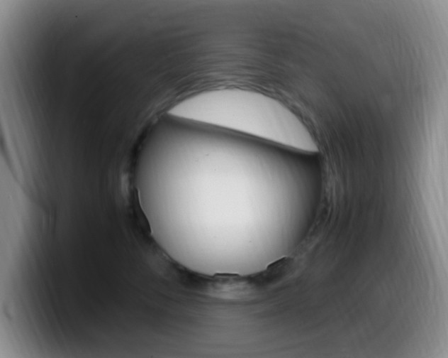 X0000099980716200805231023