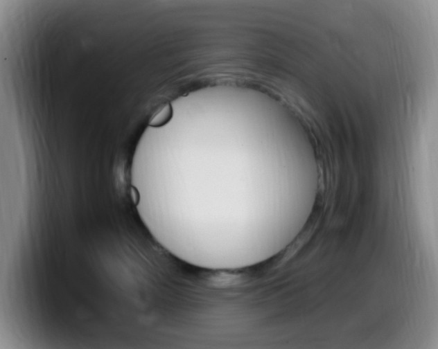X0000099980718200805231023
