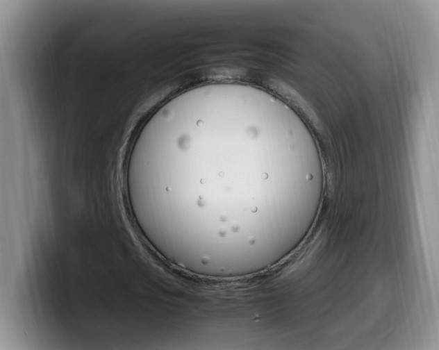 X0000099980721200805231022