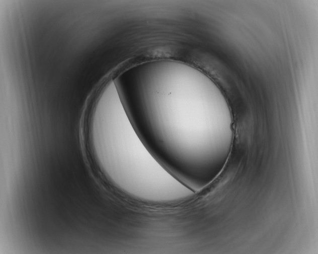 X0000099980722200805231022