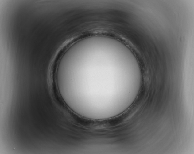 X0000099980727200805231022