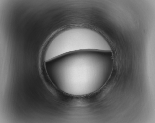 X0000099980728200805231022
