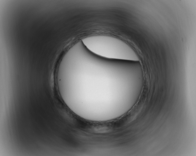 X0000099980729200805231022