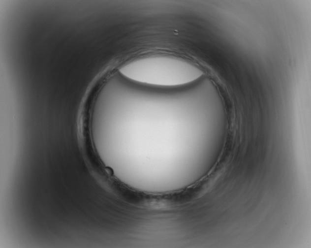 X0000099980730200805231022