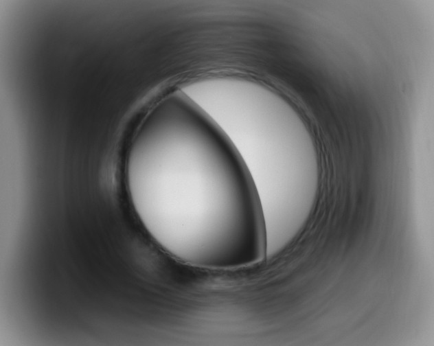 X0000099980732200805231022
