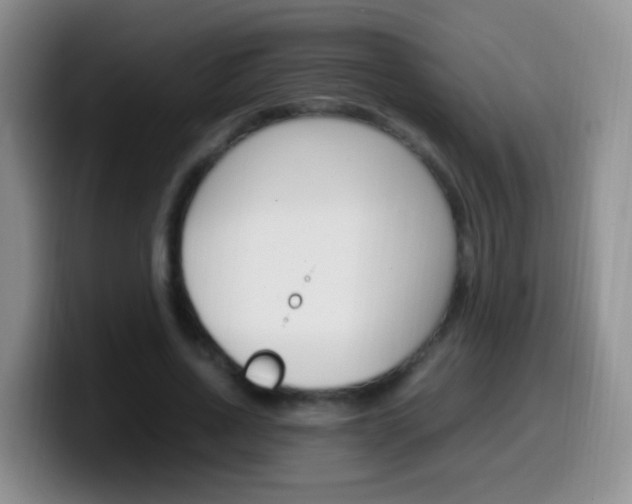 X0000099980734200805231022