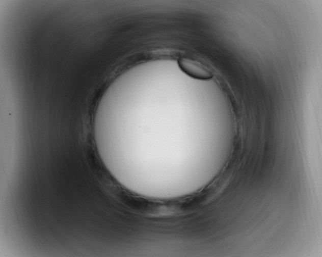 X0000099980737200805231022