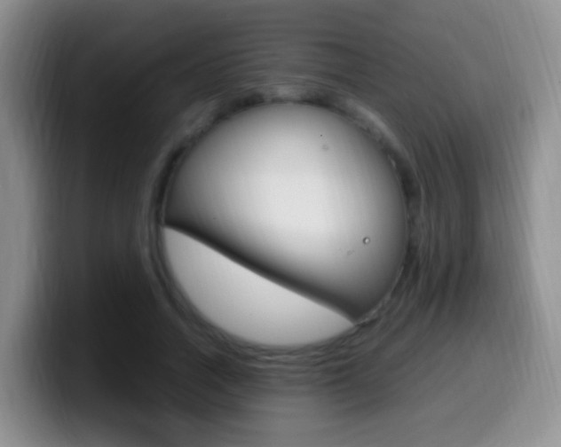X0000099980738200805231022