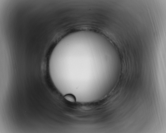 X0000099980739200805231022