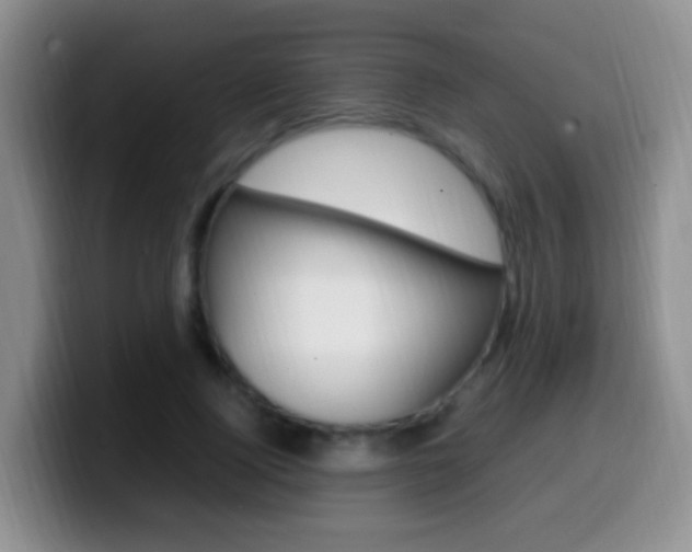 X0000099980740200805231022