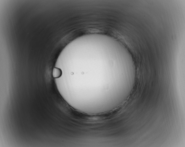 X0000099980741200805231022