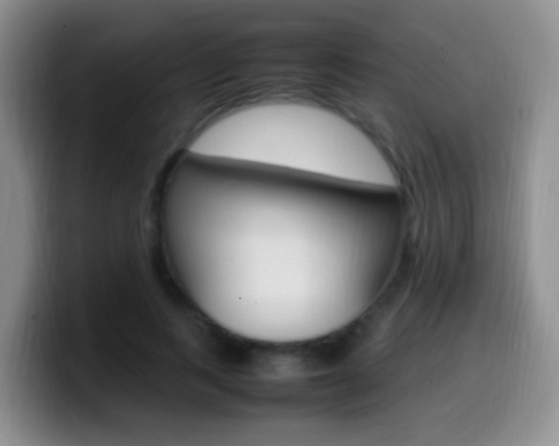 X0000099980743200805231022