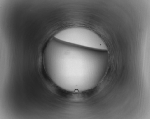 X0000099980744200805231022