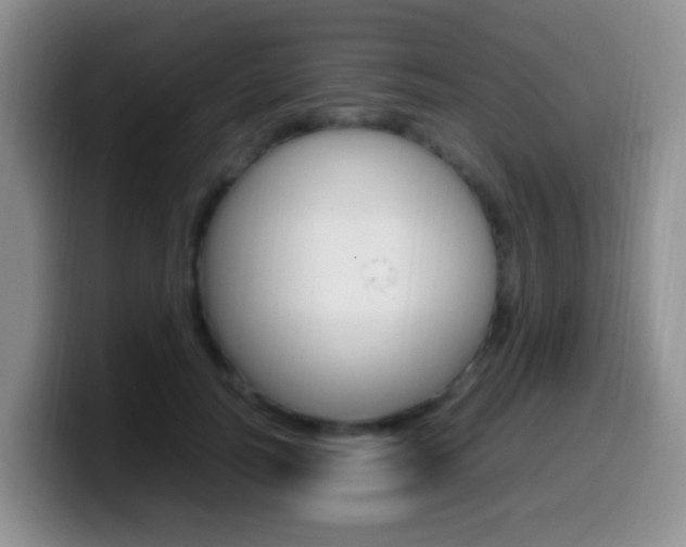 X0000099980746200805231022