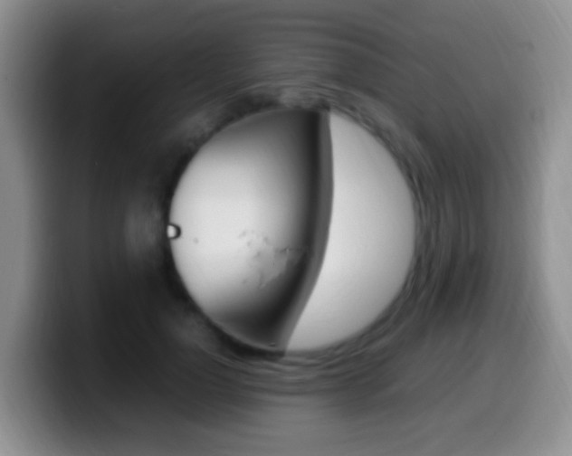 X0000099980748200805231023