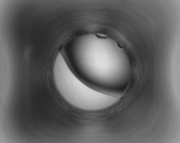 X0000099980750200805231023