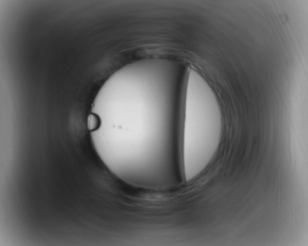 X0000099980751200805231023
