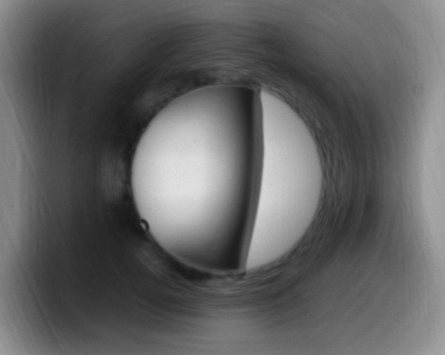 X0000099980752200805231023