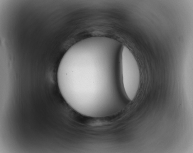 X0000099980755200805231023