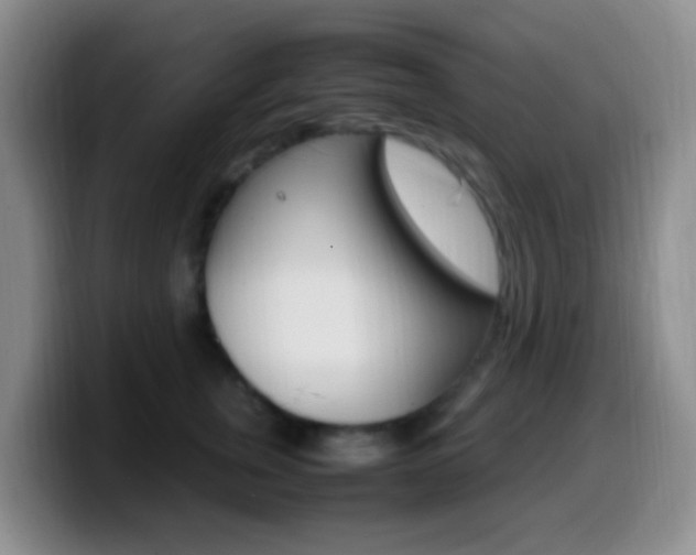 X0000099980759200805231023