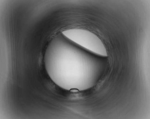 X0000099980760200805231023