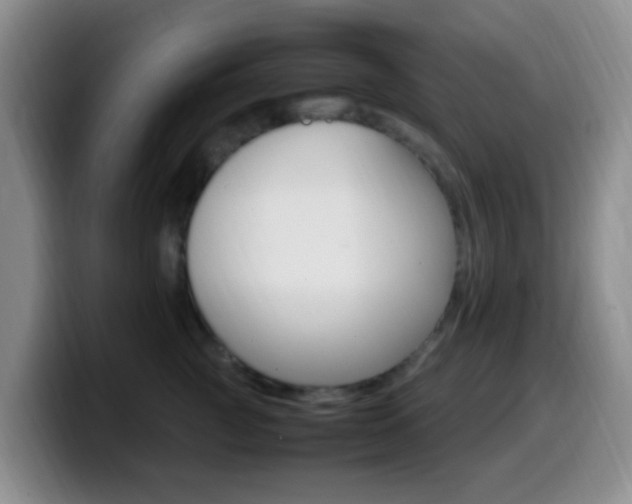 X0000099980761200805231023