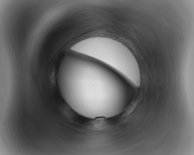 X0000099980762200805231023