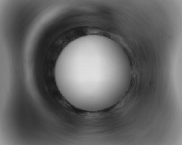 X0000099980763200805231023