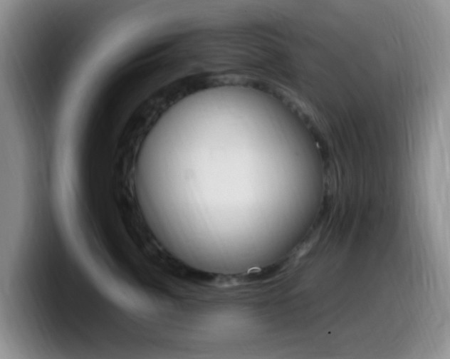 X0000099980764200805231023