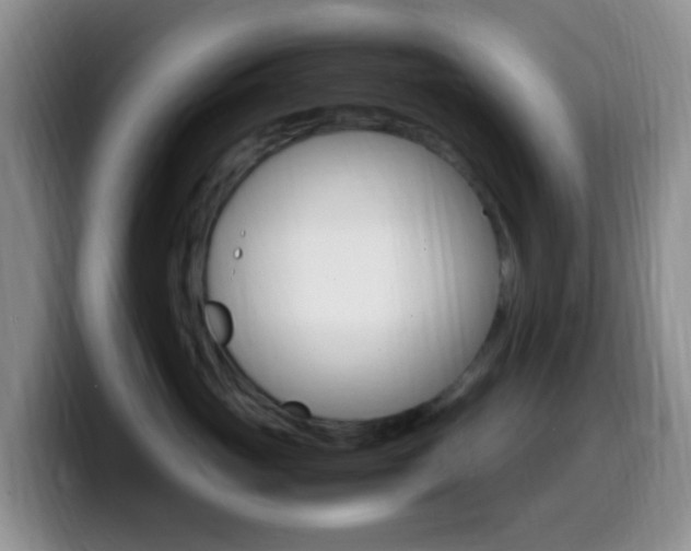 X0000099980765200805231023