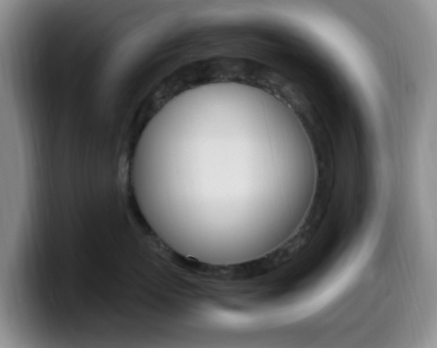 X0000099980767200805231023