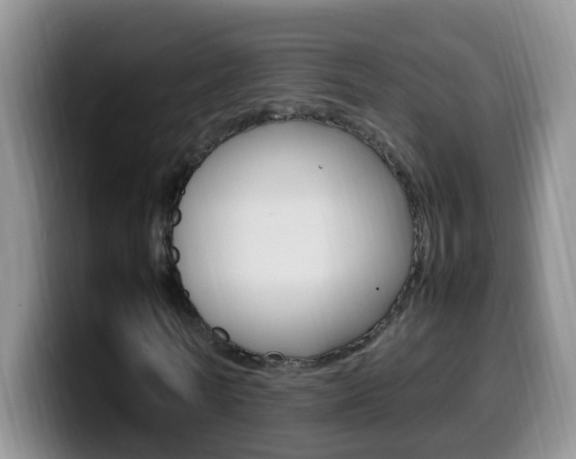 X0000099980770200805231022