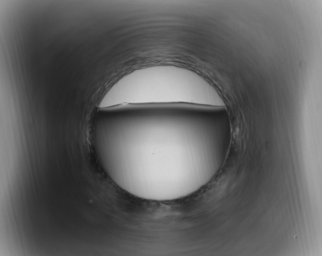 X0000099980772200805231022