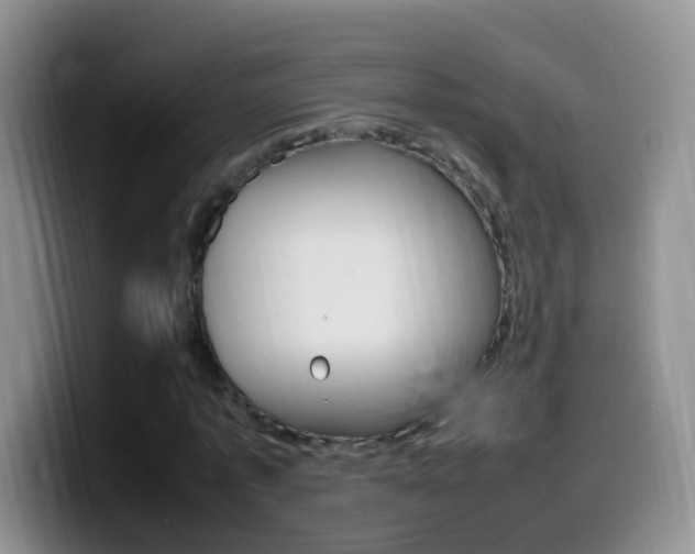 X0000099980773200805231022