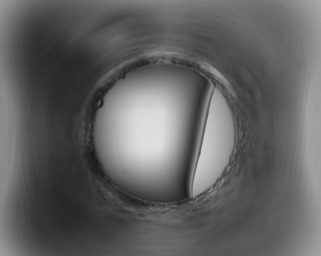 X0000099980775200805231022