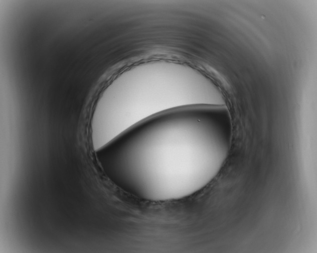 X0000099980776200805231022