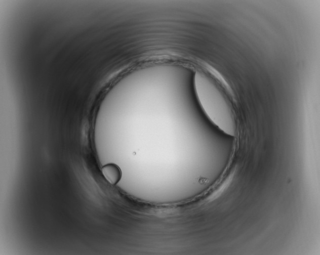 X0000099980778200805231022