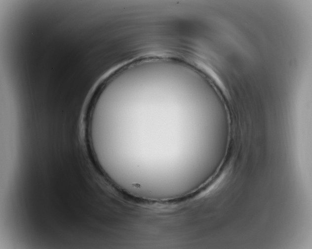 X0000099980779200805231022
