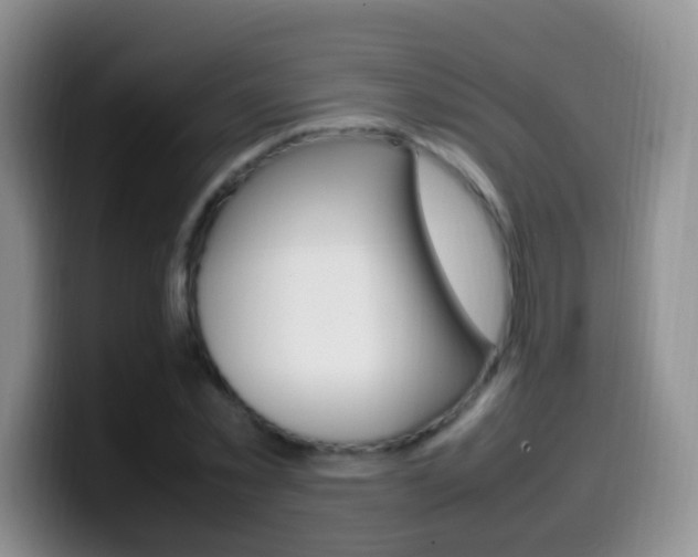 X0000099980781200805231022