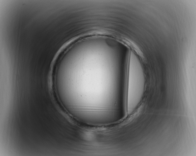 X0000099980784200805231022