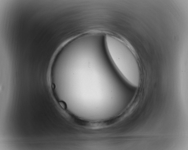 X0000099980795200805231022