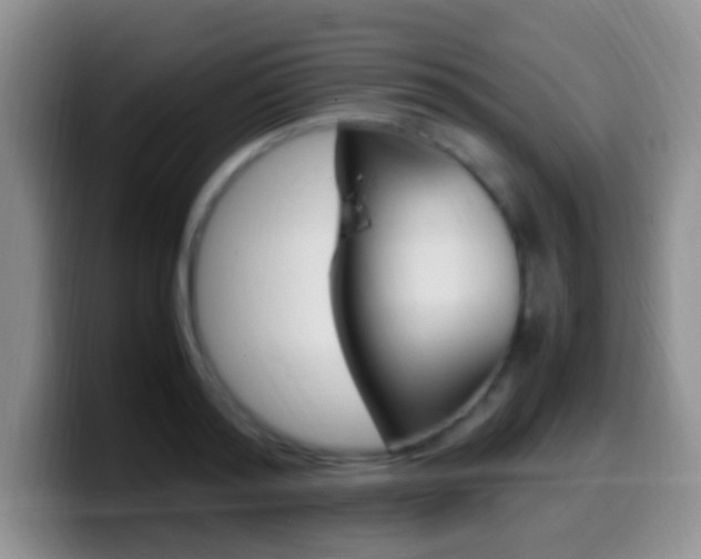 X0000099980796200805231022