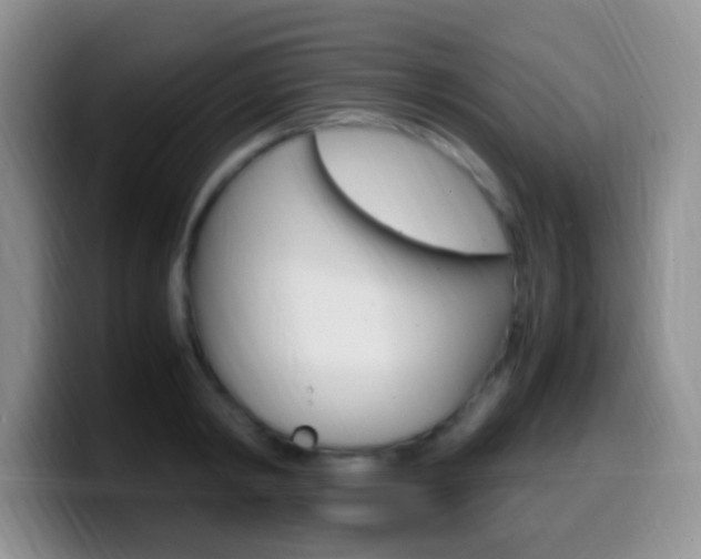 X0000099980798200805231022